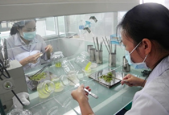 Kỹ sư công nghệ sinh học có thể tham gia vào công việc kiểm tra chất lượng sản xuất