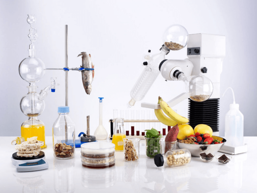 Công nghệ sinh học được ứng dụng trong chế biến thực phẩm 