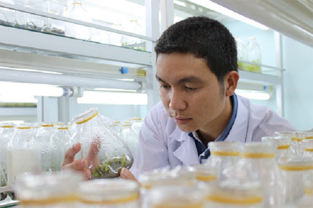 Cơ hội việc làm cho ngành công nghệ sinh học tại Đà Lạt rất rộng mở
